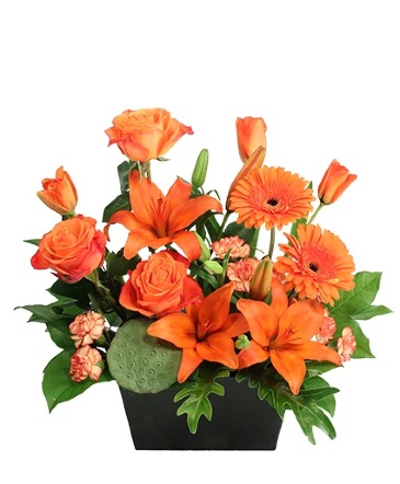 Bonfire Blaze Floral Design  in Albany, NY | Ambiance Florals & Events