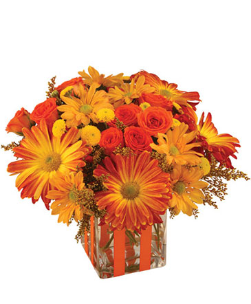 Bonfire Nights Bouquet in Philadelphia, PA | QA Test Account