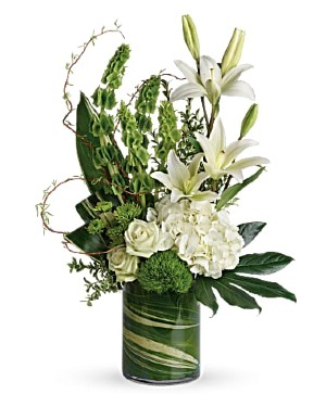 Botanical Beauty 