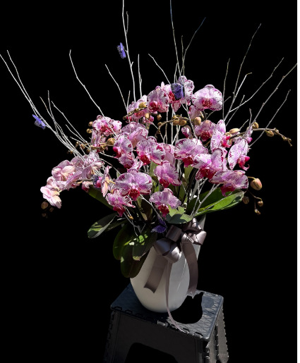 Botanical Bliss  
