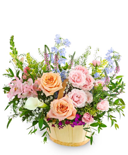Botanical Bloom Basket Flower Arrangement