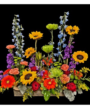 Botanical Garden Design - summer Fresh 
