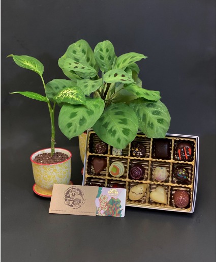 Botanicals and Brews and Sweets too 