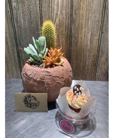 Botanicals and Brews and Sweets Too Succulent Edition in Coralville, IA | Every Bloomin' Thing