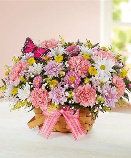 Bouncing Spring Butterfly Fresh Floral Arrangement