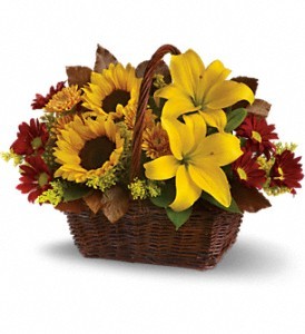 Bountiful Basket Basket
