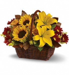 Bountiful Basket Basket