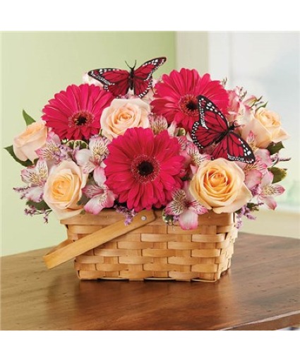 Bountiful Basket 