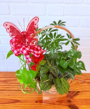 Bountiful Blessings Basket GREEN PLANTS