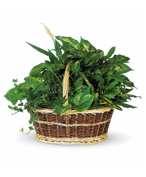 Bountiful Garden Basket 