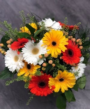 Bouquet of 12 Gerber's  