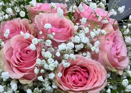 Bouquet of pink roses Hand tied bouquet 