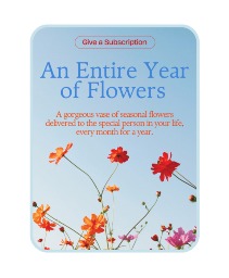 Bouquet of the Month Club Flower Arrangement