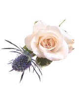 Boutonniere, Peachy Boutonniere, Pin-On Corsage