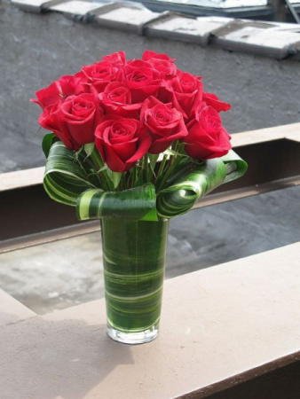 Bow of Roses Roses