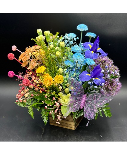 Artistic Mix Designers Choice