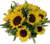 Bowl Full of Sunshine Cut Flowers in Oasis