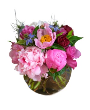 Bowl of Beautiful Peonies 
