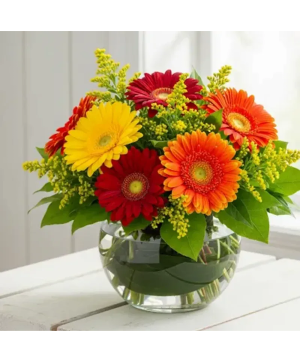 BOWL OF GERBERAS 