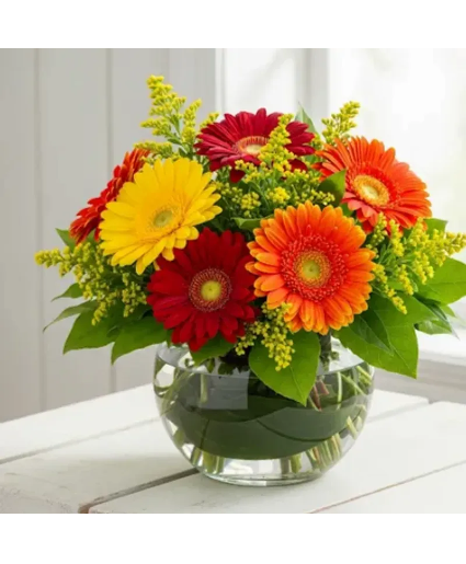 BOWL OF GERBERAS 