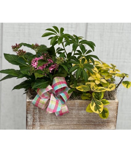 Box of Blooms Euro Garden
