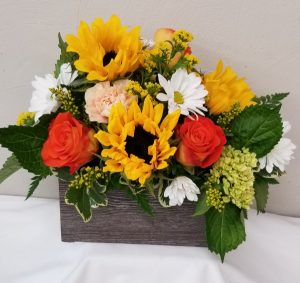 Box of Sunshine 