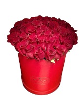 MAGNIFICENT BOX ROSES