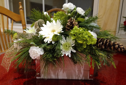 Box that Up for Christmas Christmas