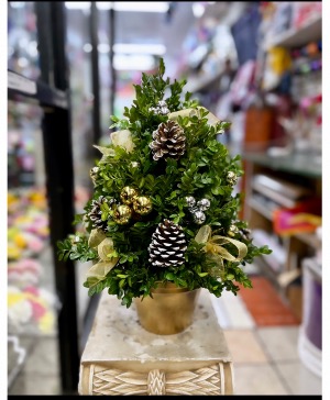 BOXWOOD CHRISTMAS TREE Christmas tree 