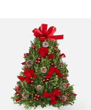 Christmas Boxwood Tree SOLD OUT Table top - decorations may vary
