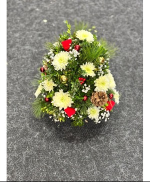 Boxwood tree  