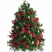 Boxwood Tree Non- fragrance Table top tree
