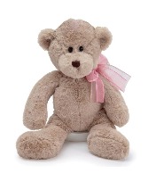 Soft &Cuddly Plush Bear