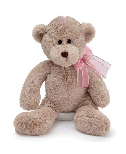  Soft &Cuddly Plush Bear