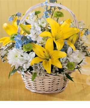 Boys Are Best D5-4042 Arrangement