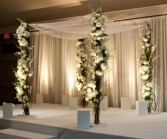 Branch-y Chuppah 