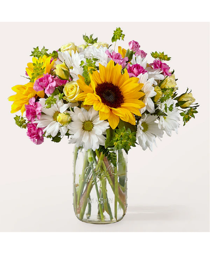 Breath of Fresh Air fresh arrangement