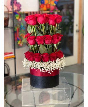 Breathless Red roses 