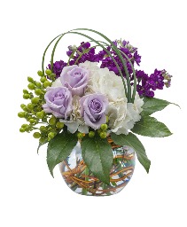 Breezy Arrangement