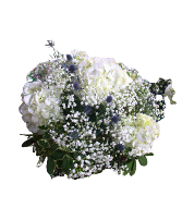 Bridal Bouquet  White Hydrangea Accented With Blue 