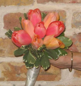 Bride 37 Bride Bouquets