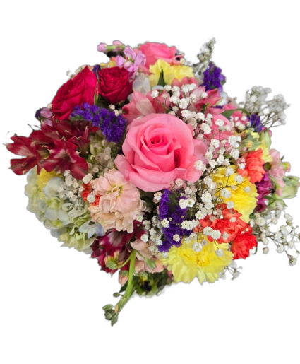 Bride's Desire and Bride's Choice bridal