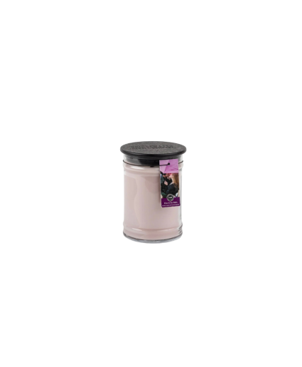 Bridgewater Candle Company Candle  