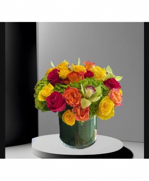 Bright abundance  