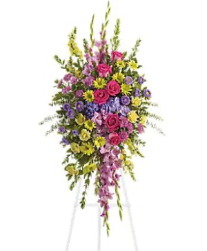 Bright and Beautiful Spray  