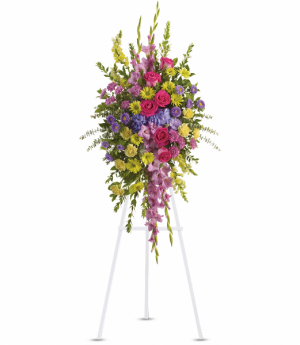 Bright and Beautiful Spray T249-3A