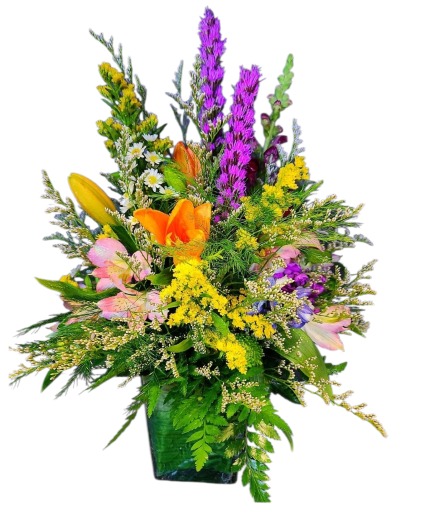Bright and Cheerful 