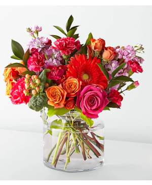 Bright and Cheerful 