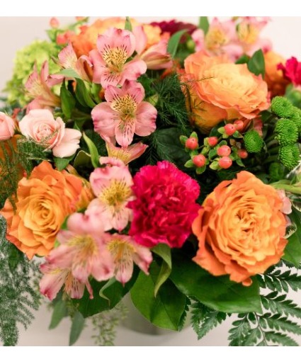 Bright & Bold Designer Choice 