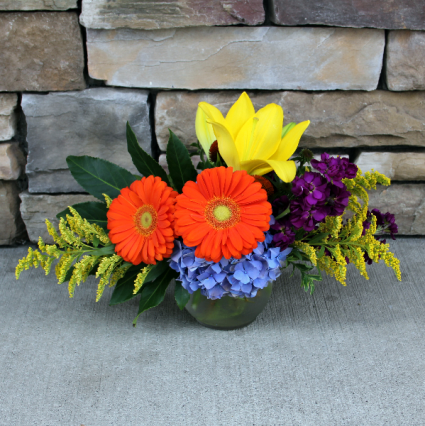 Bright Bubble Bowl Fresh Flower Arrangement